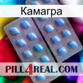 Камагра viagra4